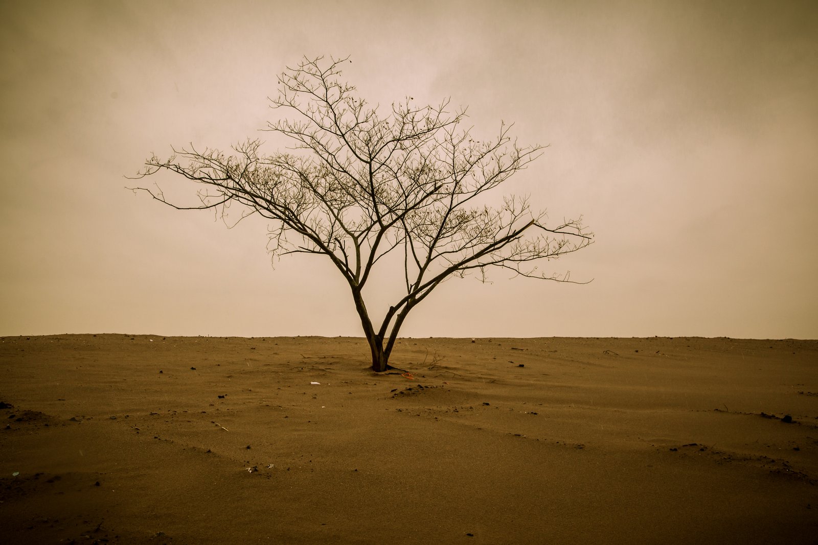 art-of-sandy-mo-staten island 2-11.jpg